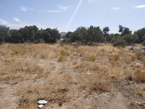 20959 E Mingus Dr, Mayer, AZ 86333 photo 4