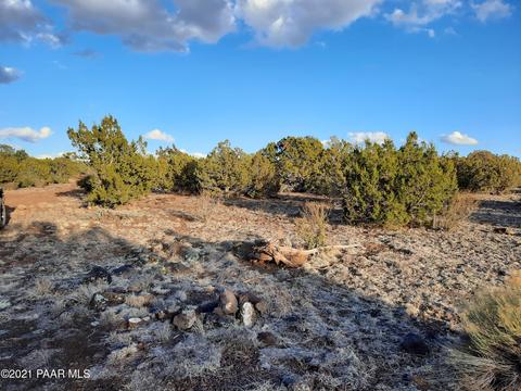 1024 E Kruger Long Rd, Williams, AZ 86046 photo 4