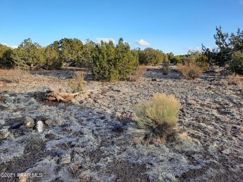 1024 E Kruger Long Rd, Williams, AZ 86046 photo 3