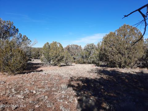 34728 W Avenida Risco, Seligman, AZ 86337