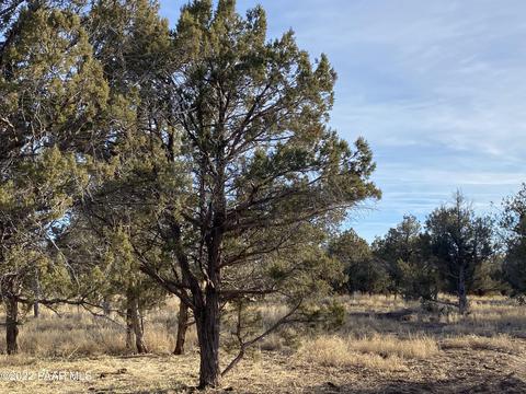 464 Mesa Dr, Williams, AZ 86046 photo 1