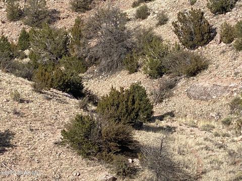 8362 Sharp Knife Rd, Williams, AZ 86046 photo 9