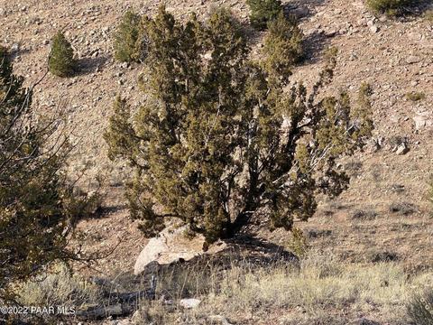 8362 Sharp Knife Rd, Williams, AZ 86046 photo 10
