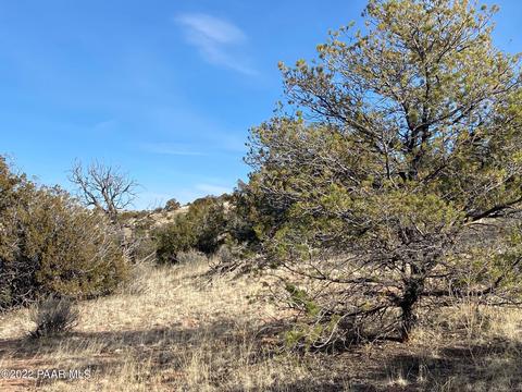 8362 Sharp Knife Rd, Williams, AZ 86046 photo 15