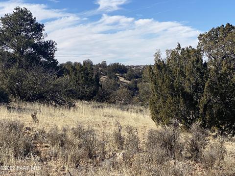 8362 Sharp Knife Rd, Williams, AZ 86046 photo 3