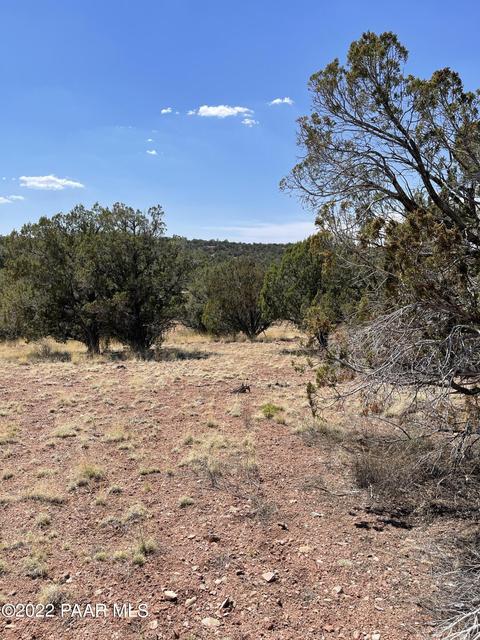 56400 N Bearclaw Rd, Seligman, AZ 86337