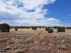 11599 W Rawhide Ranch Rd, Ash Fork, AZ 86320 photo 9