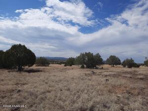 11599 W Rawhide Ranch Rd, Ash Fork, AZ 86320 photo 7