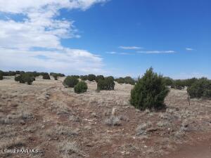 11599 W Rawhide Ranch Rd, Ash Fork, AZ 86320 photo 8