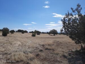 11599 W Rawhide Ranch Rd, Ash Fork, AZ 86320 photo 4