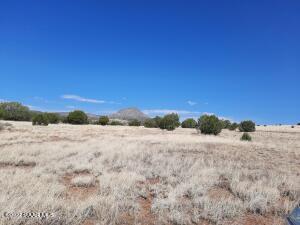 11599 W Rawhide Ranch Rd, Ash Fork, AZ 86320 photo 5