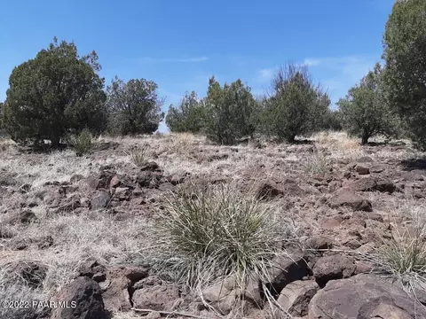 118 Juniperwood Rnch, Ash Fork, AZ 86320 photo 8