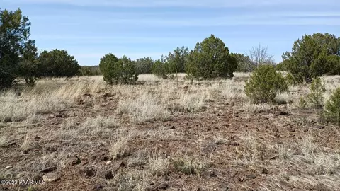 118 Juniperwood Rnch, Ash Fork, AZ 86320 photo 19