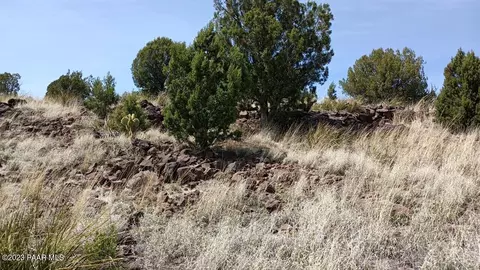 118 Juniperwood Rnch, Ash Fork, AZ 86320 photo 18