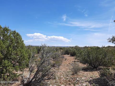 54186 N Conquistador Pkwy, Seligman, AZ 86337