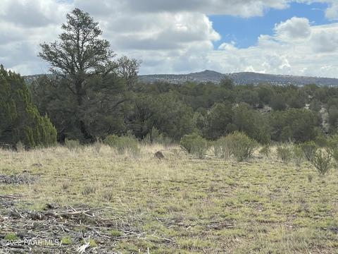 00 Ponderosa Springs Rd, Seligman, AZ 86337