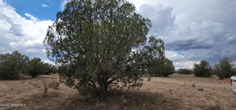 286 W Ridgeview Dr, Ash Fork, AZ 86320