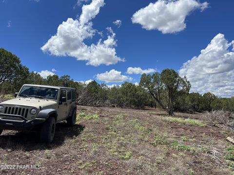 1543 W Skyline Dr, Williams, AZ 86046