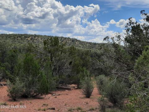 lot171 Forest Acres, Seligman, AZ 86337