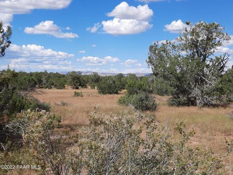 54213 N Thunderbird Ln, Seligman, AZ 86337