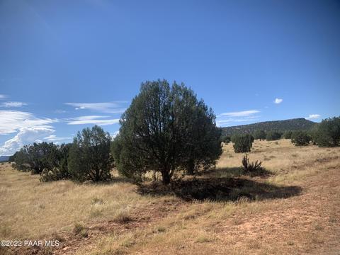 0 Cross Mountain Ranch Pcl 29-1, Seligman, AZ 86337
