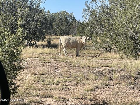 6675 Hideaway Rd, Ash Fork, AZ 86320