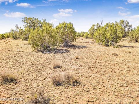 lot46 A Wooden Ear Ranch Rd, Seligman, AZ 86337