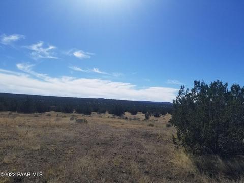 45100 N Tanner Rd, Ash Fork, AZ 86320 photo 5
