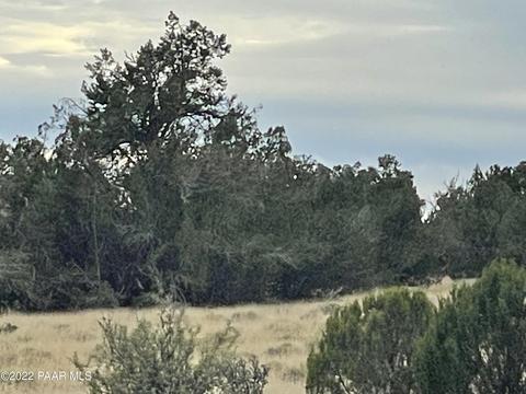 lot37 NE Wooden Ear Ranch Rd, Seligman, AZ 86337