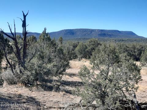 54595 N Castano Rd, Seligman, AZ 86337