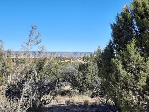 58550 N Rana Rd, Seligman, AZ 86337