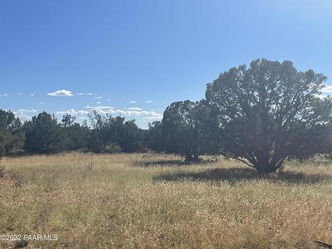 41425 Via Dolorosa Rd, Seligman, AZ 86337