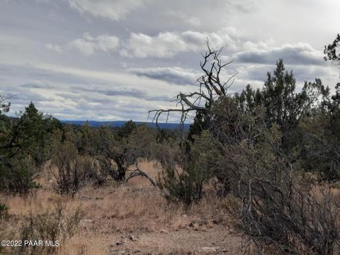 Lot 1396 N Juniper Way, Seligman, AZ 86337