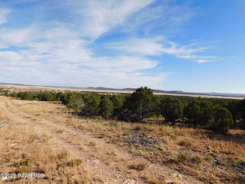 000 Colton Trl, Seligman, AZ 86337