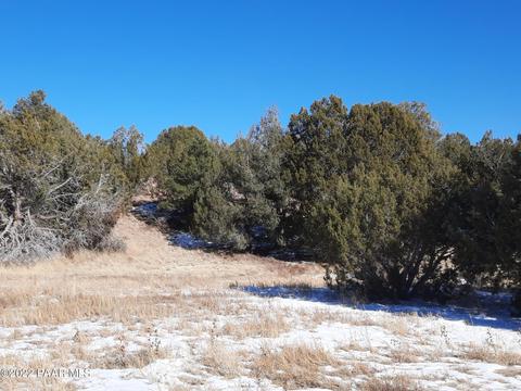 33384 W Lago Cir, Seligman, AZ 86337