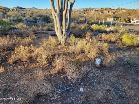 19687 E Juniper Dr, Mayer, AZ 86333 photo 5