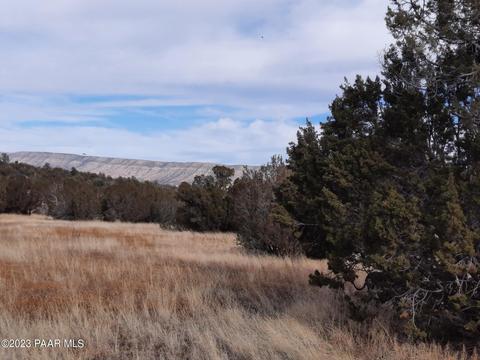 57596 N Calle Arandas, Seligman, AZ 86337