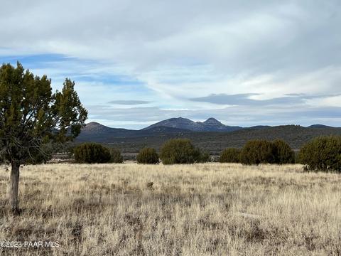 11975 W Dozer Ave, Ash Fork, AZ 86320 photo 18