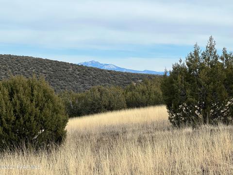 11975 W Dozer Ave, Ash Fork, AZ 86320 photo 5