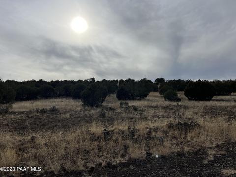 11975 W Dozer Ave, Ash Fork, AZ 86320 photo 8