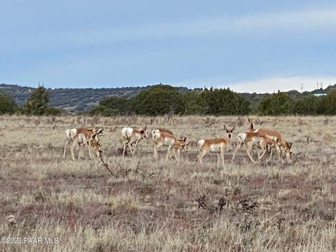 11975 W Dozer Ave, Ash Fork, AZ 86320 photo 1
