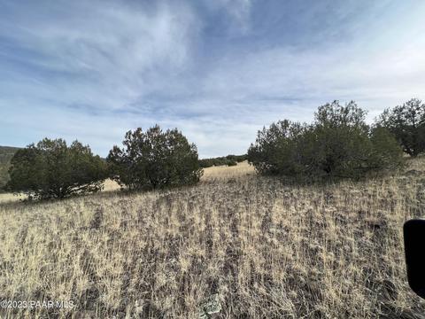 11975 W Dozer Ave, Ash Fork, AZ 86320 photo 7