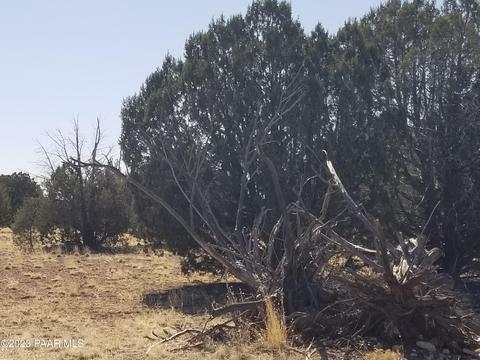 252 Juniperwood Rnch # C, Ash Fork, AZ 86320 photo 5