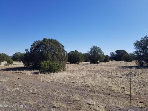 252 Juniperwood Rnch # C, Ash Fork, AZ 86320 photo 4