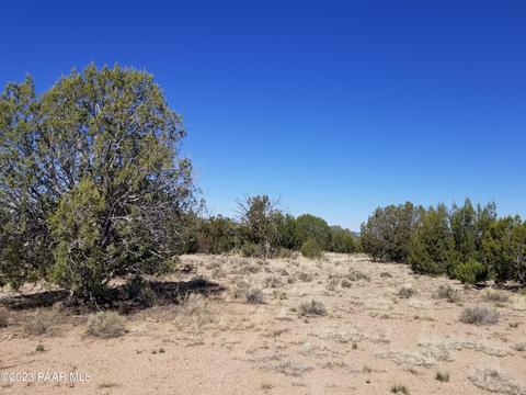 252 Juniperwood Rnch # C, Ash Fork, AZ 86320 photo 2