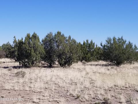 252 Juniperwood Rnch # C, Ash Fork, AZ 86320 photo 3