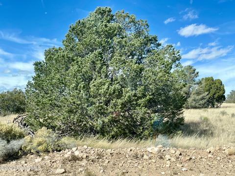 1608 W Ridgeview Dr, Ash Fork, AZ 86320