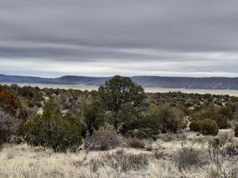 57139 N Bridge Canyon Pkwy, Seligman, AZ 86337