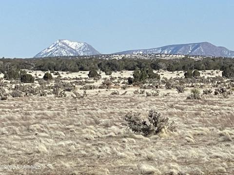 54520 N San Juan Dr, Seligman, AZ 86337