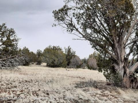 Lot 1217 Shadow Mountain Pkwy, Seligman, AZ 86337